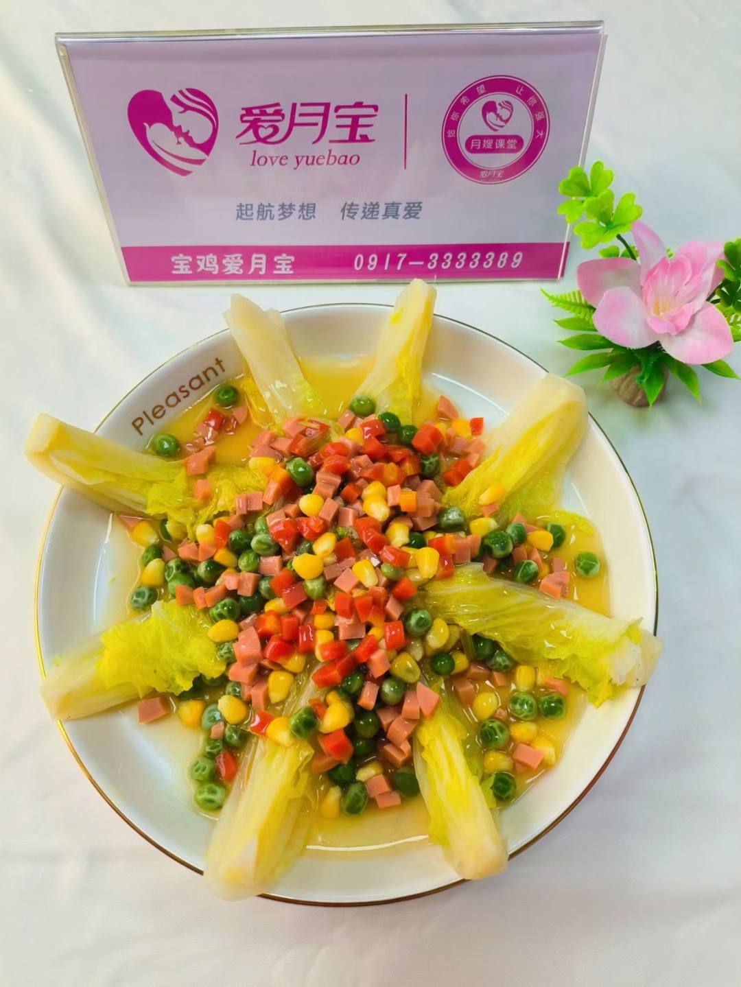 科学月嫂(中级)