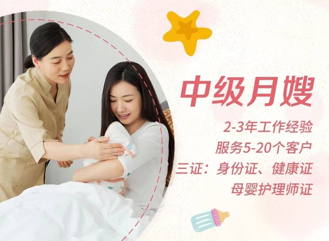 中级月嫂