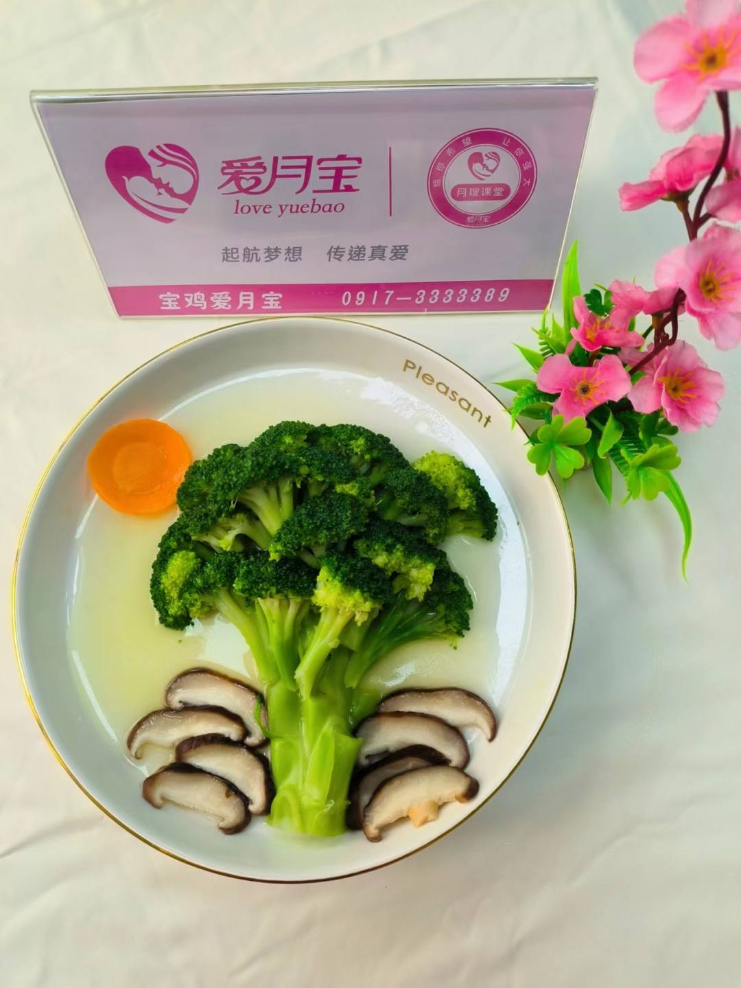 科学月嫂(中级)