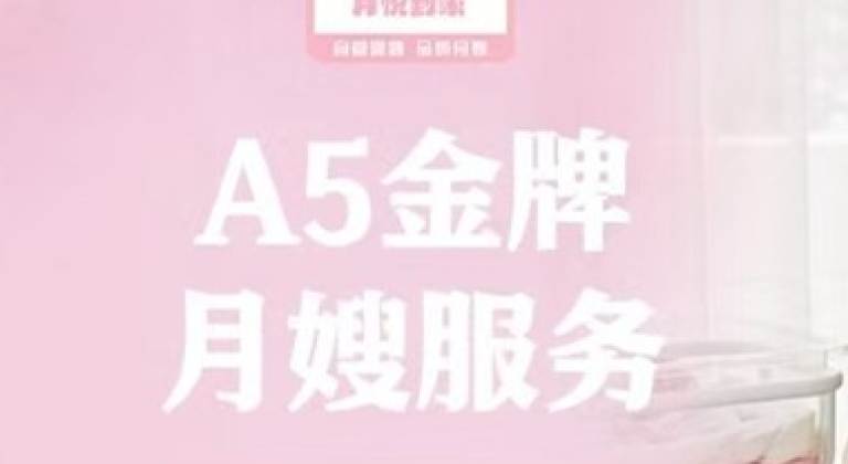A5金牌月嫂服务