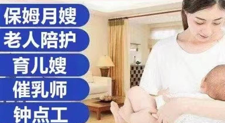 金牌育婴师