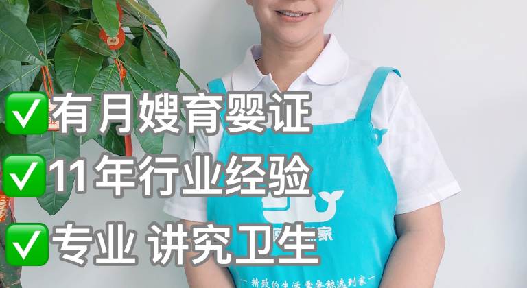 金牌月嫂