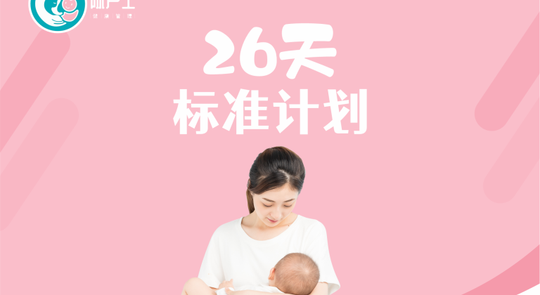 26天标准计划