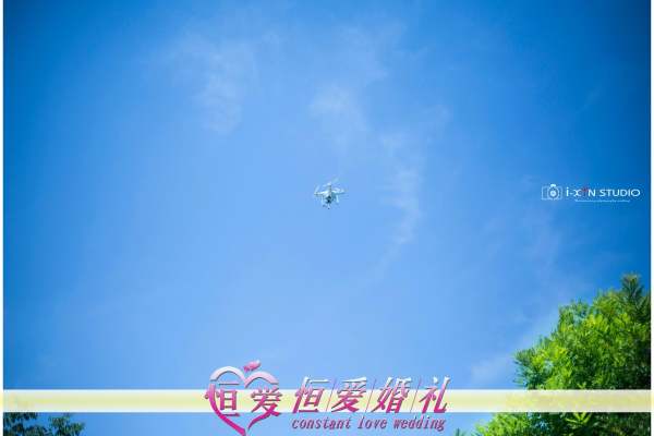 恒爱婚礼绿案例