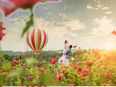 韩国瑞蜜MARRYME花海案例
