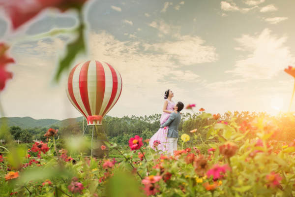 韩国瑞蜜MARRYME花海案例