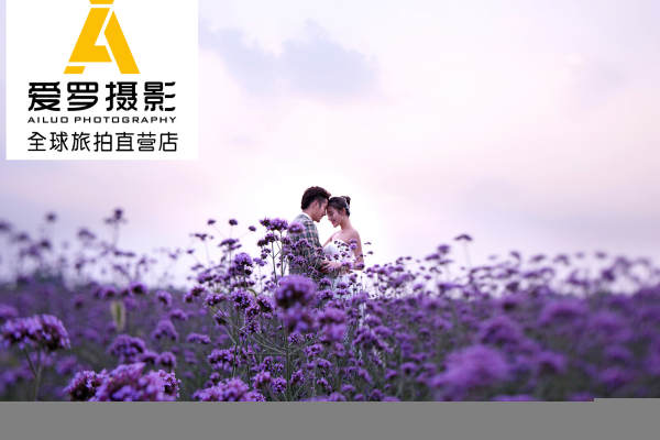 爱罗套系