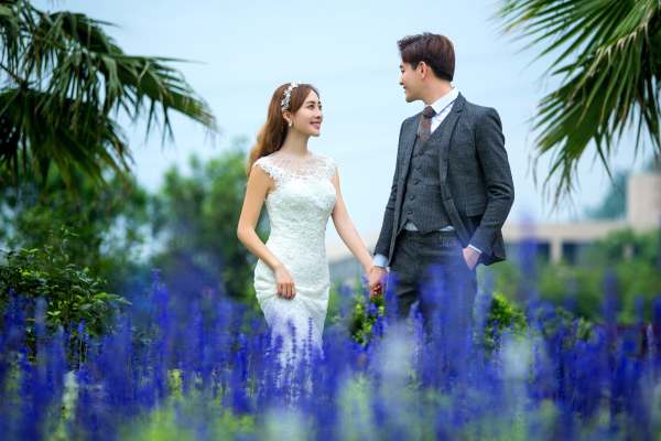好莱坞婚纱摄影花海案例