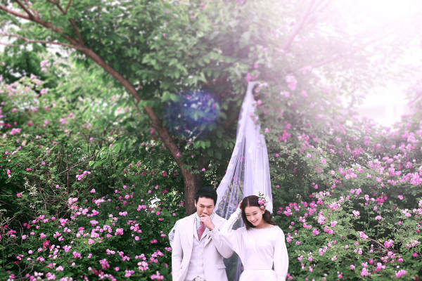 梦巴黎婚纱摄影小清新案例