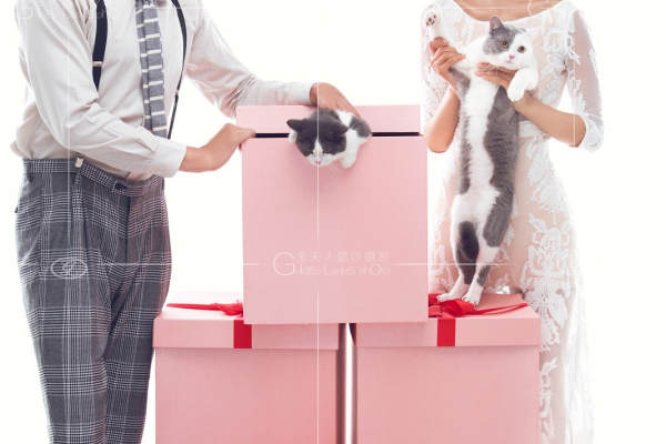 金夫人婚纱摄影小清新案例