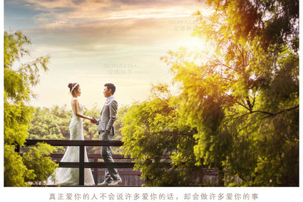 蒙娜丽莎花海案例