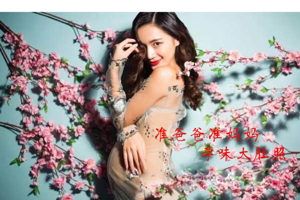 麦田摄影机构花海案例