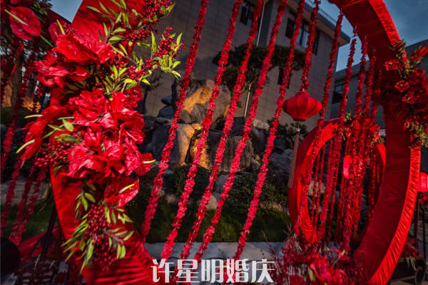 蓝粉套系
