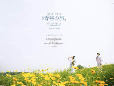 唯一视觉特色标签案例