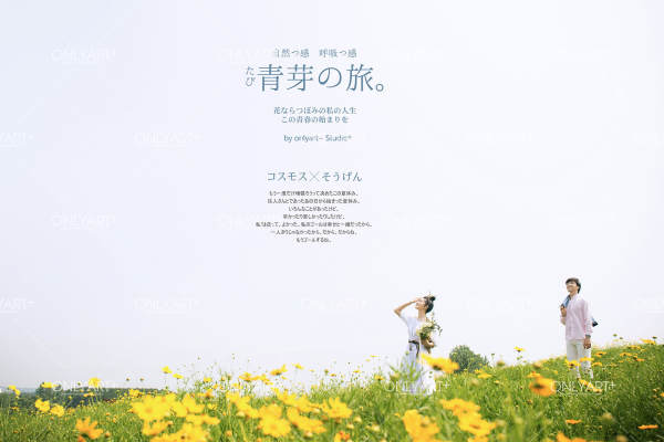 唯一视觉特色标签案例