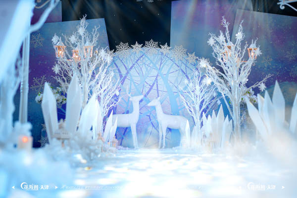花海阁冰雪案例