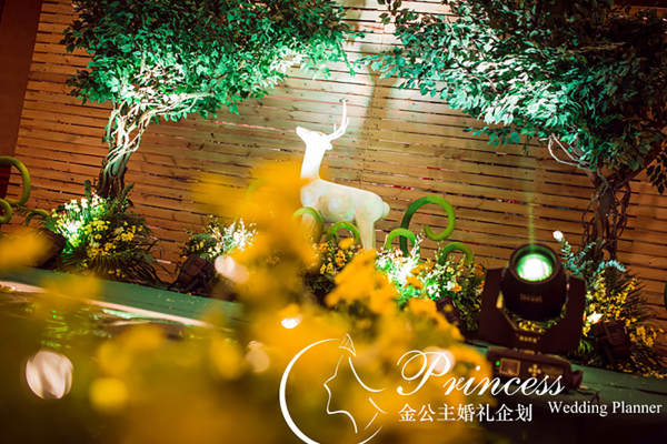 套系