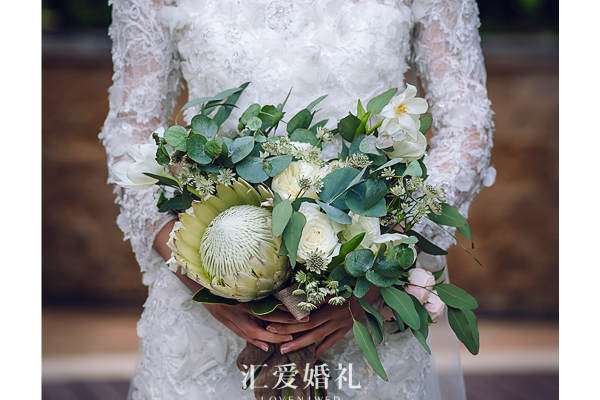 彩色套系