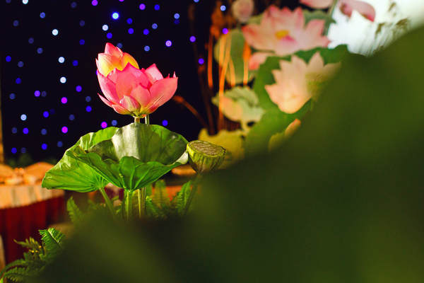 罗马嫁日婚礼星空案例