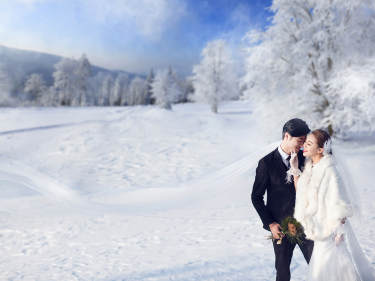 金夫人雪景案例