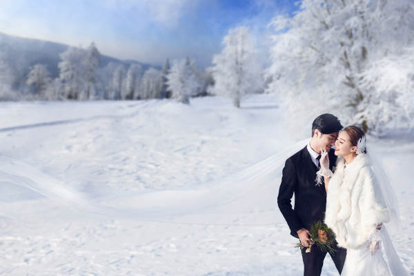 金夫人雪景案例