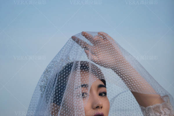 独家园林套系