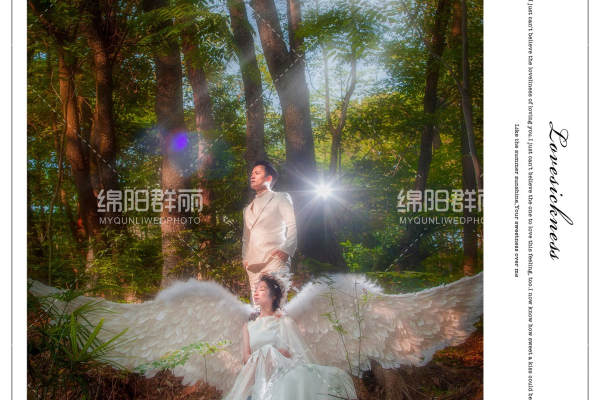 群丽婚纱摄影森林案例