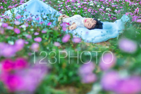 婚纱摄影花海案例