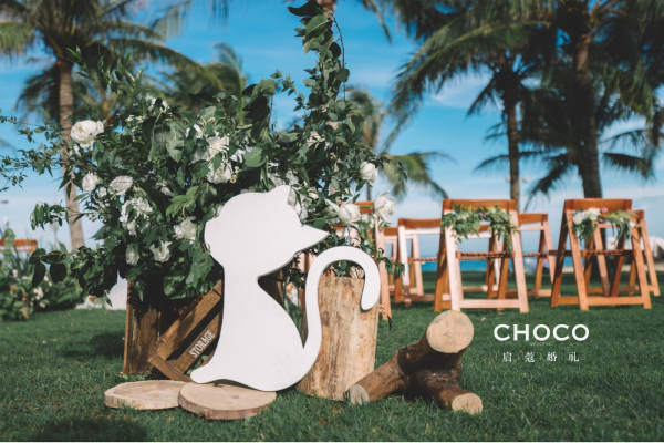 CHOCO-启蔻婚礼干净清新案例