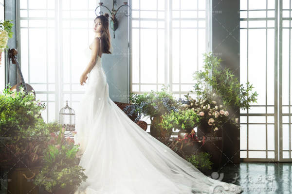 金夫人婚纱摄影花海案例