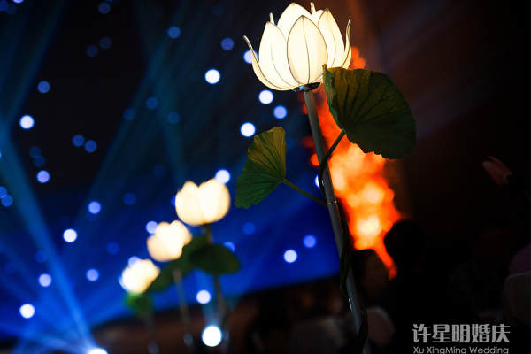 许星明婚庆套系