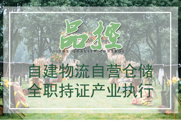 樱色花嫁欧式宫廷案例