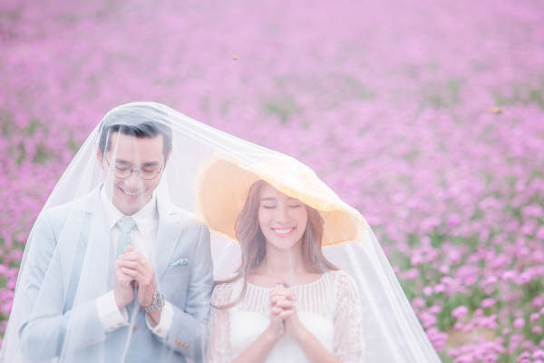 摄影花海案例