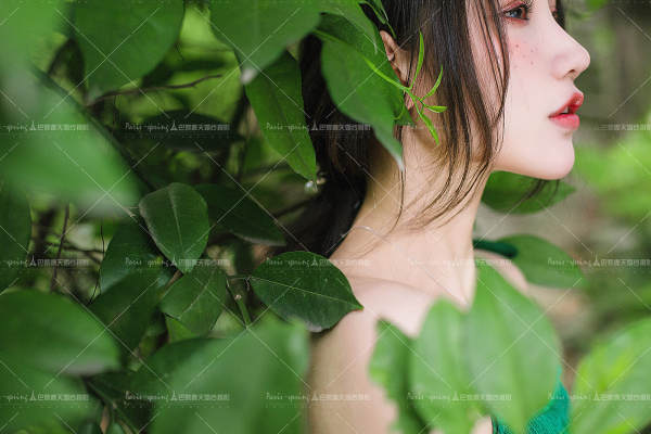 棚拍套系