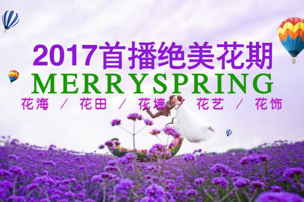 施华洛高端摄影会所小清新案例