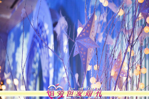 恒爱婚礼蓝案例