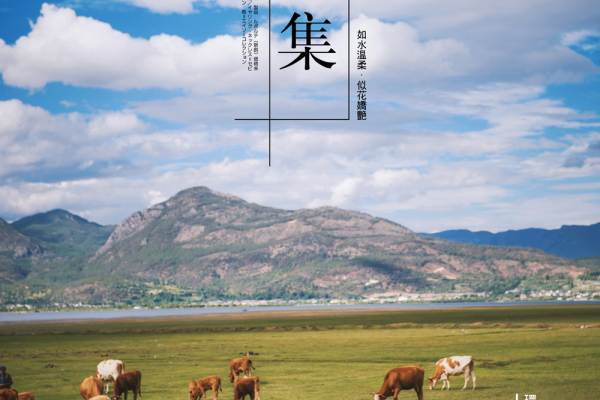纯粹shs唯美套系
