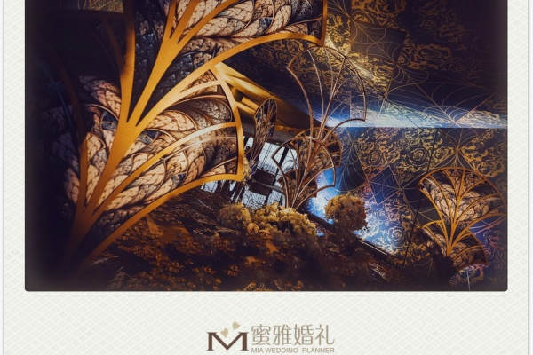 蜜雅奢华大气案例