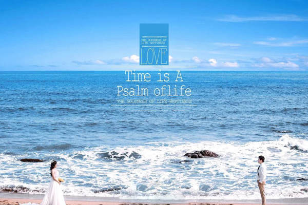 臻致美妆摄影花海案例