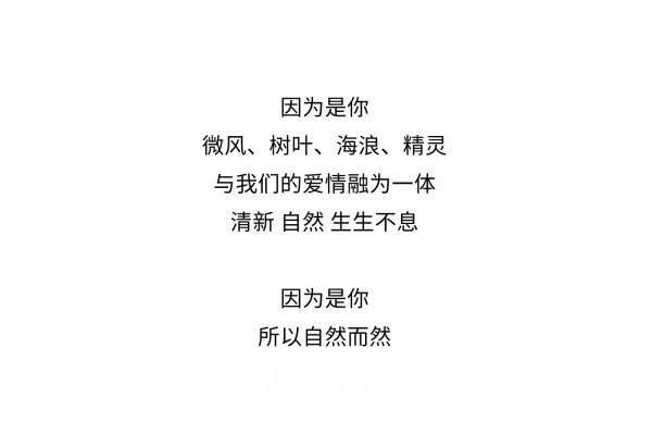 汇爱海岛婚礼案例