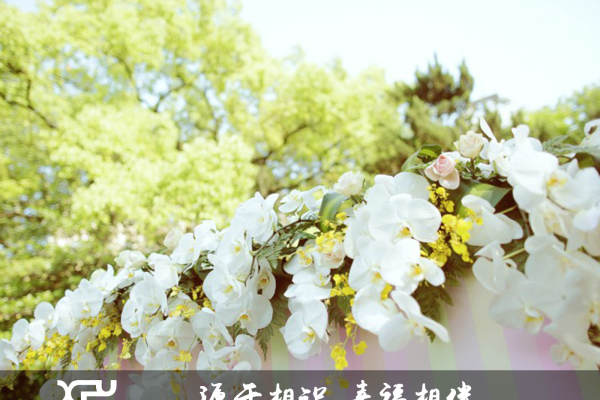 幸福源婚礼小清新案例