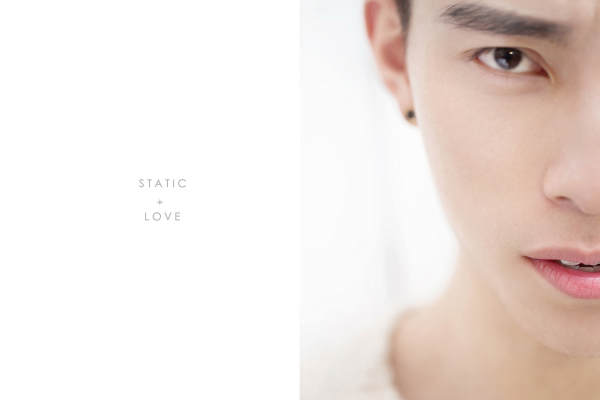 STYLE精致特色标签案例