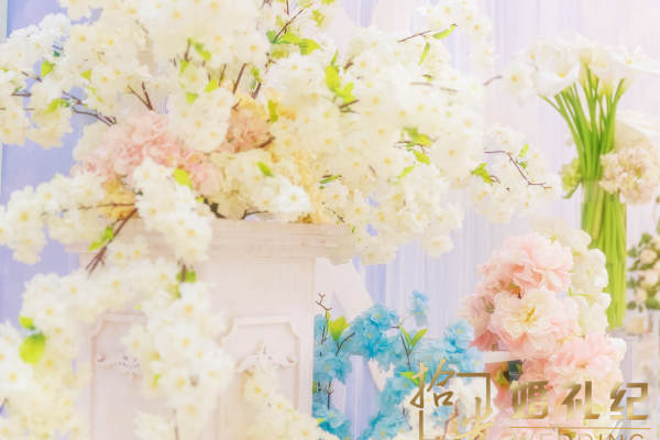 拾光婚礼纪蓝案例