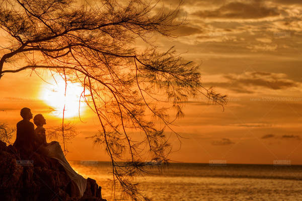 铂爵醉美夕阳案例