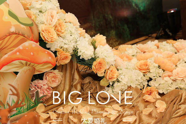 大爱BigLove香槟色案例