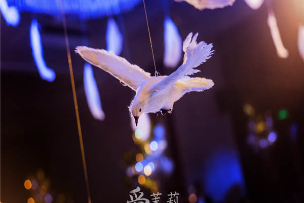 爱茉莉婚礼浅灰案例