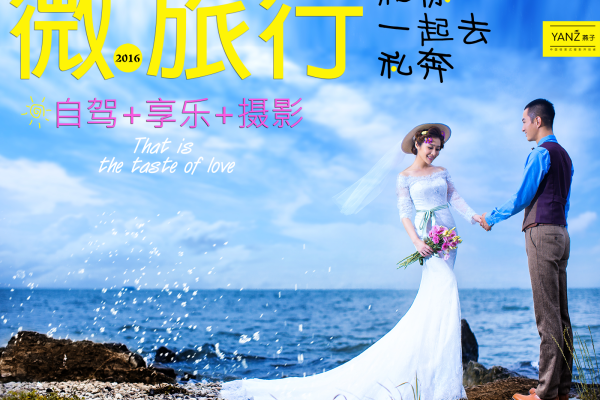 燕子个性案例