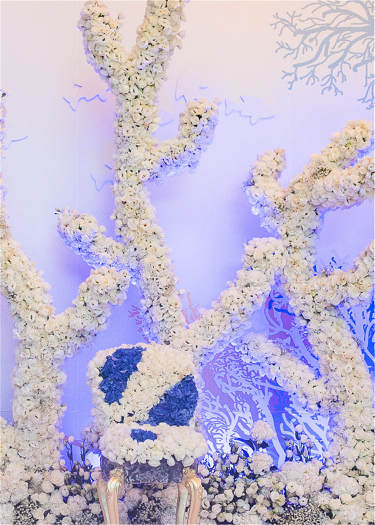 华丽特色客片