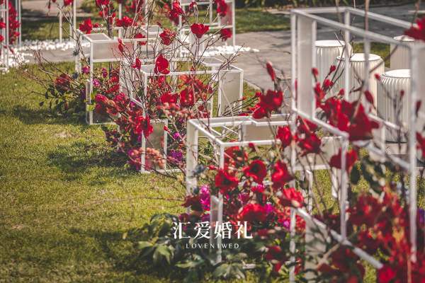 汇爱套系