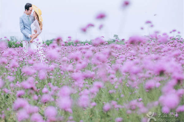 美丽庄园婚纱摄影花海案例